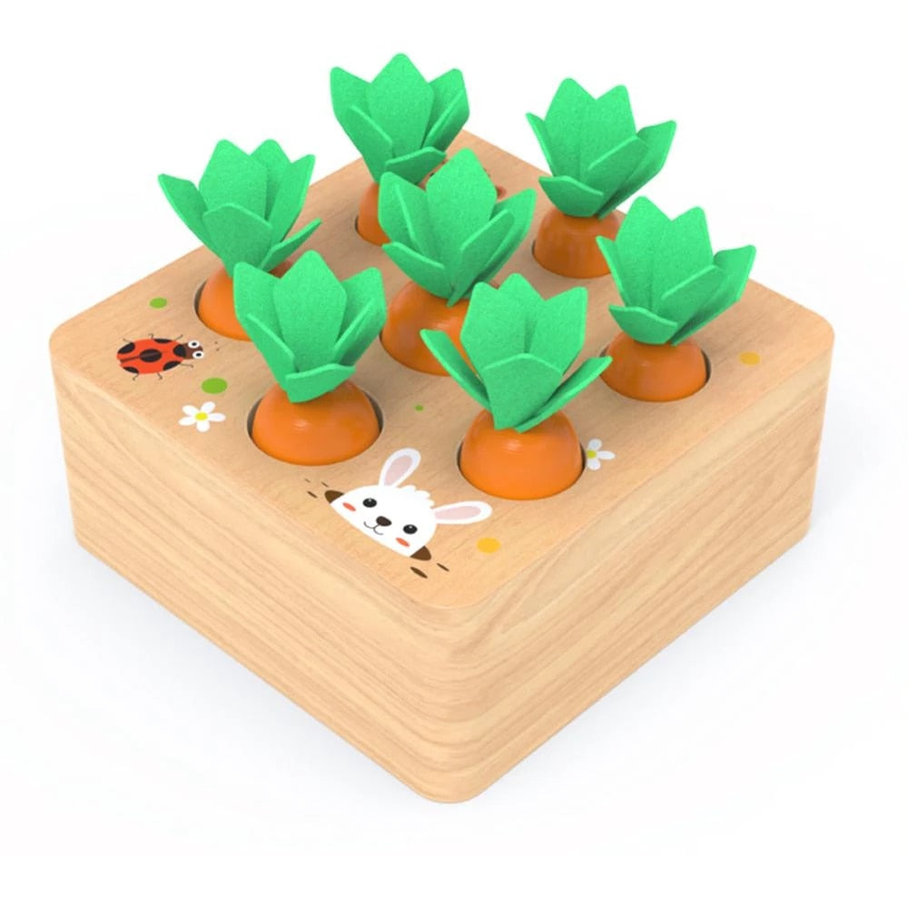 Montessori Carrots Blocks™- Orto a Blocchi Educativi